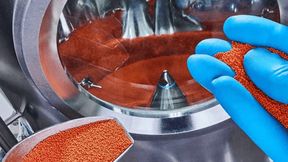 Zum Beispiel bei Granulieranlagen ist Edelstahl rostfrei 
Material der Wahl.   (Bild: L.B. Bohle)