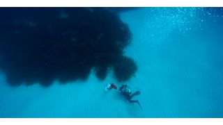 Schön anzusehen, schwer zu messen: Die Messung von Stoffwechselprodukten, wie Saccharose und Phenolen, im Meerwasser ist schwierig. Die Forscher des Max-Planck-Instituts für Marine Mikrobiologie in Bremen mussten eine spezielle Methode entwickeln. (Bild: Hydra Marine Sciences GmbH)