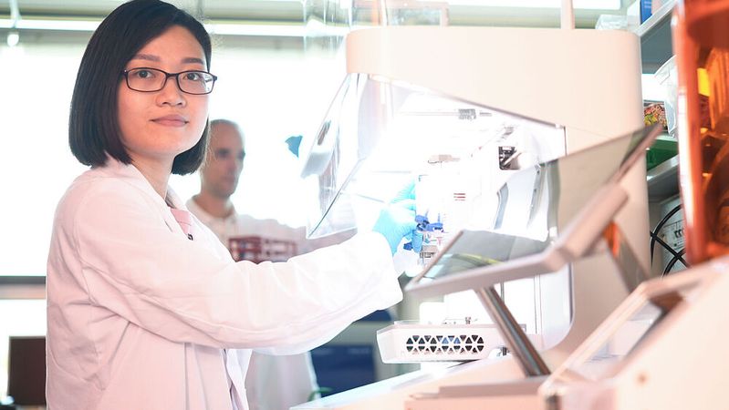 Empa-Forscherin Hien Le arbeitet an einer künstlichen Hornhaut aus Hydrogel für Menschen mit Sehbeeinträchtigung. (Bild:  Empa)