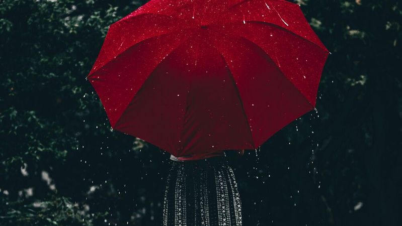 Um Datenschutz zu gewährleisten braucht es weit mehr, als ein hübsches Cookie-Banner zu schalten.(Bild:  frei lizenziert / Unsplash)