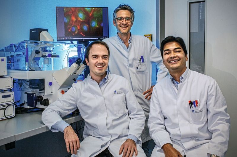 Andreas Zietzer, Felix Jansen und Rabiul Hosen (v.l.) vor einem Fluoreszenzmikroskop; auf dem Bildschirm des Mikroskops sieht man stark vergrößerte Endothelzellen, deren Zellkern blau und das Protein hnRNPU grün dargestellt ist. (Bild: Felix Heyder / Uniklinikum Bonn)