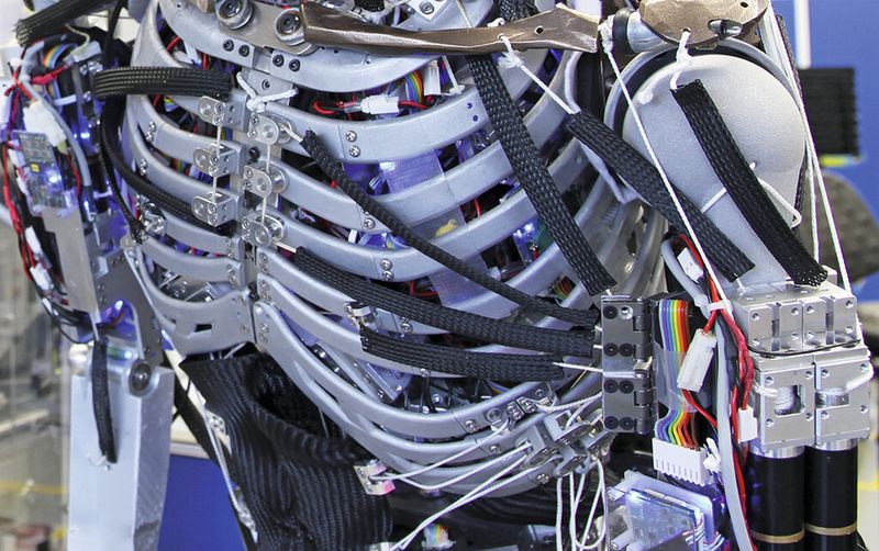 Um der menschlichen Anatomie so nah wie möglich zu kommen, verfügt Kenshiro über die wichtigsten menschlichen Muskeln: 50 in den Beinen, 76 im Torso, 12 in der Schulter und 22 im Hals. (Bild: maxon)