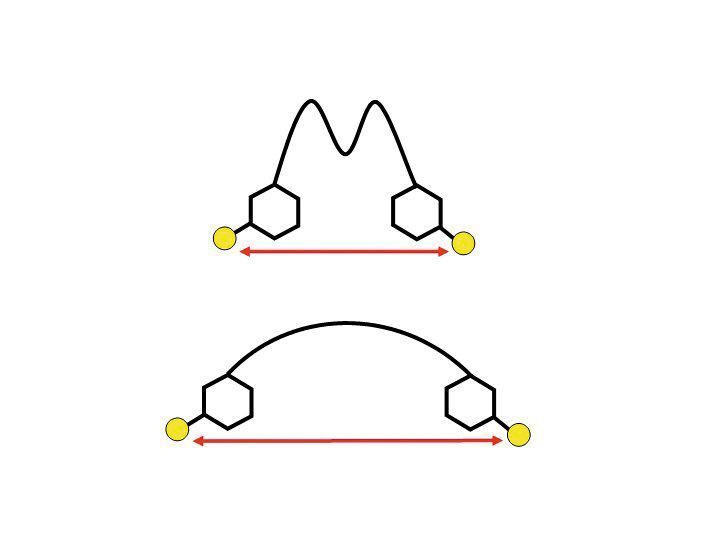 Abb. 5: (a) Divalenter Ligand in Lösung; die Flexibilität des Linkers ermöglicht viele Konformationen mit unterschiedlichsten Abständen zwischen den Spinmarkern.  (Bild: Uni Konstanz)