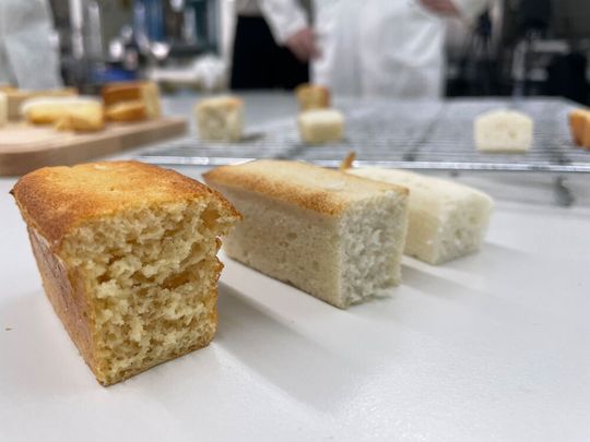 Was verleiht den Teigen die erwünschte Luftigkeit: Pflanzliche Proteine (l.) oder Saponine (m.)?(Bild:  Uni Hohenheim/Corinna Schmid)