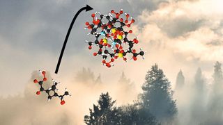 Verschiedene Moleküle können Mini-Partikel bilden, die dann einen Einfluss auf das Klima haben. (Bild: TU Wien)