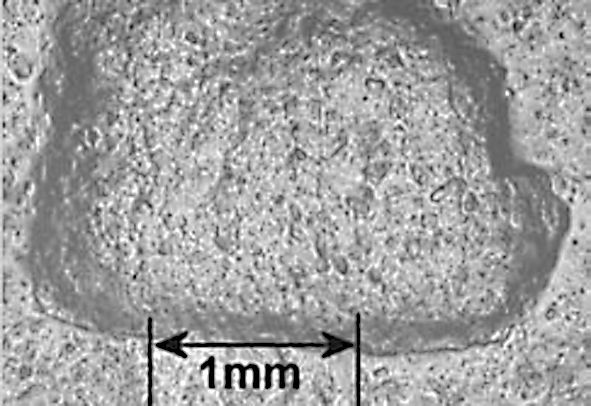 1   Mikrobild einer typischen lasttragenden Lageroberfläche mit extrem langer Einkerbung.  (Bild: Timken)