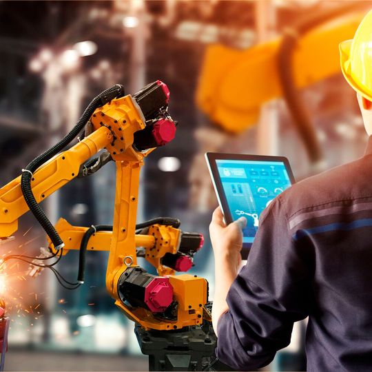 Auf dem Weg zur Digitalisierung setzen die meisten Unternehmen auf unterschiedliche Geschäftsmodelle.(Bild:  Flexera)