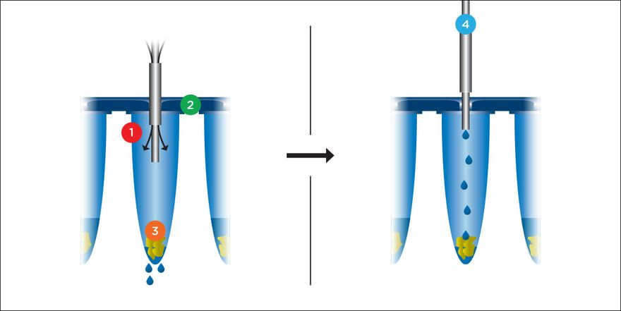 Figure 3.png (CEM GmbH)