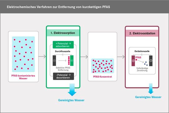 Im Verlauf des UFZ-Verfahrens werden die PFAS zuerst durch Elektrosorption abgetrennt und angereichert (Schritt 1) und danach durch Elektrooxidation zerstört (Schritt 2). Übrig bleiben vor allem Kohlendioxid und Fluorid. (Bild:  Susan Walter-Pantzer / UFZ (Grafik))