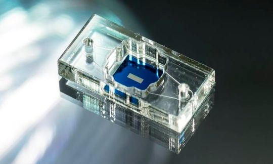 High-tech alternatives to animal testing, modular µSiM (m-µSiM) tissue chip platform components are mass-produced and primarily acrylic, which allows for the assembly of highly reproducible devices. (Source:  J. Adam Fenster / University of Rochester)