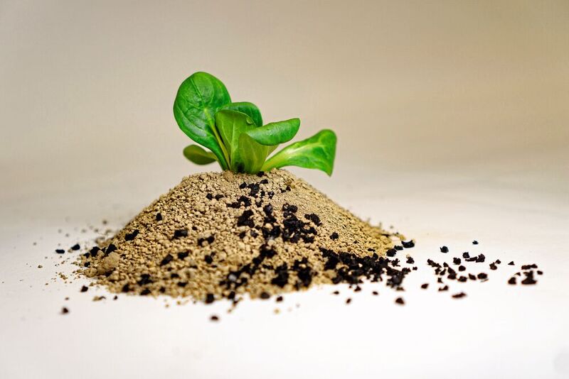 In einem weiteren Schritt werden die Wiener Umweltgeowissenschafter untersuchen, ob und wie Salatpflanzen die von Reifenabrieb abgebebenen Chemikalien in Bodensystemen aufnehmen.