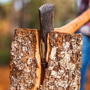 Statt mechanische Kraft nutzen Forscher flüssige Salze, um Holzfasern aufzuschließen (Symbolbild).(Bild:  gemeinfrei, Abby Savage / Unsplash)