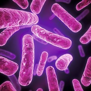 Abb. 2: Festlegungen zur Tuberkulose- und Mykobakteriendiagnostik sind in der Normenreihe DIN 58943 enthalten. 