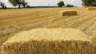 Stroh und weitere Reststoffe aus der Landwirtschaft könnten künftig direkt auf dem Bauernhof in Materialien und Energieträger umgewandelt werden.  (Forschungszentrum Karlsruhe)