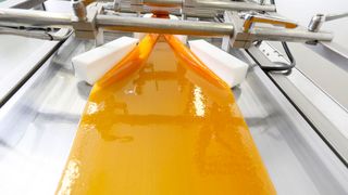 Die technische Ausstattung ist entscheidend für eine stabile und qualitativ hochwertige Verarbeitung zur Herstellung moderner Pflanzenprodukte. (DOMACO Dr. med. Aufdermaur AG)