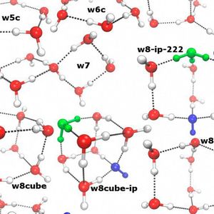 (© AG Kirchner/Uni Bonn)