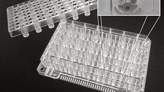 Abb.1: Intelligente Multiwellplatte mit Sensorik: Alle 24 Kammern enthalten jeweils einen Sensor zur Erfassung des pH-Werts, der Gelöst-Sauerstoff-Konzentration und der Impedanz. (Bild: Steinbeis-Transferzentrum Medizinische Elektronik und Lab on Chip-Systeme)