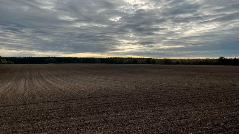 Ein Acker in Brandenburg: Das geplante Rechenzentrum soll auf einem 150 Hektar großen Areal entstehen. Wer hinter dem Vorhaben steckt, ist noch unbekannt.(Bild:  Brandenburg /Hossam el-Hamalawy / CC BY-SA 2.0)