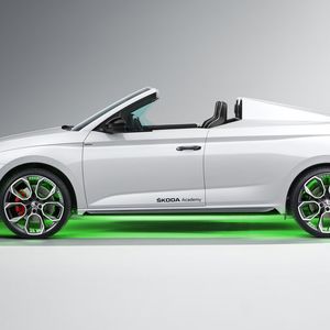 Der Roadster ist allerdings ein Einzelstück, gefertigt in der Skoda-Akademie.(Bild:  Skoda)