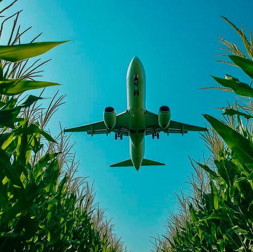 The agreement will enable fuel producers to license Topsoe’s Hydroflex technology alongside the Bioveritas Process to produce renewable fuels from second-generation feedstocks.(Source:  Pixabay)