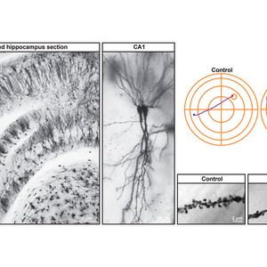 (© TU Braunschweig/Martin Korte)