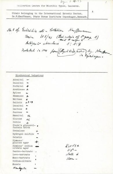 Scan der Original-Hinterlegungskarte des E. coli-Typstamms U5/41T (= DSM 30083T) in der Kulturensammlung Lausanne (Bild: Leibniz-Institut DSMZ)