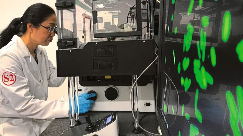 Mithilfe von Zellkulturen oder Mikroorganismen lassen sich bereits viele Tierversuche vermeiden. Noch besser gelingt dies, wenn die Technologien in geeignete Datenmodelle integriert werden.  (Bild: Empa)