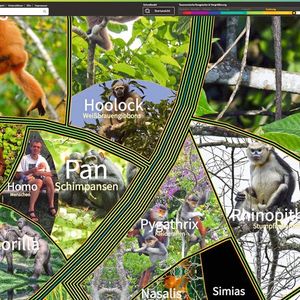 Natürlich ist auch Homo sapiens im Lifegate vertreten. Das zugehörige Foto zeigt den Erschaffer der interaktiven Karte: Dr. Martin Freiberg mit seiner Tochter. Er ist umgeben von den nächsten Verwandten unserer Art.(Bild:  LifeGate von Martin Freiberg)