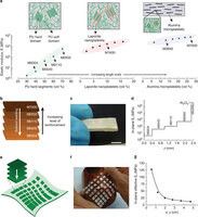 Hierarchical heterogeneous composites with locally tuned elastic properties (Bild: ETH Zürich)