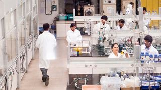 BASF wird Bse Engineering mit für den neuen Prozess maßgeschneiderten Katalysatoren versorgen. (Symbolbild) (BASF)