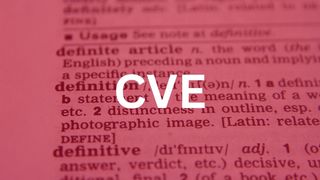 Die Common Vulnerabilities and Exposures (CVE) sind eine standardisierte Liste von IT-Schwachstellen und Sicherheitslücken. (Bild: gemeinfrei / Pixabay)