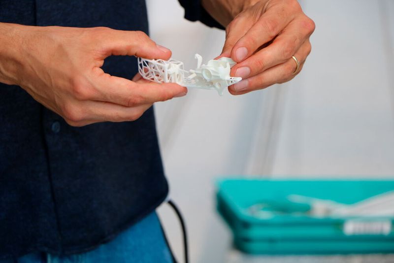 Um den Rumpf des Bionic Swift möglichst leicht zu gestalten, wurde die Topologie optimiert.  (Ute Drescher/konstruktionspraxis)