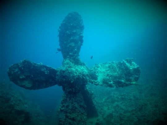 Driftet der deutsche Schiffbau in der Untergang? Das jedenfalls befürchtet derzeit die IG Metall, angesichts einer, wie es heißt, existenzbedrohenden Strudlei. Die Folgen könnten alle spüren ...(Bild:  TZM)