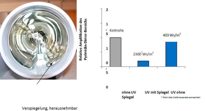 Abb. 5: Luftentkeimungssystem mit innen liegenden UV-Strahlern: Diagrammdarstellung der Dosis mit und ohne Verspiegelung bei einem Luftdurchsatz von 300 Kubikmeter/h. (biotec)