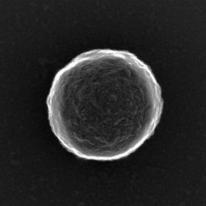 A Caltech-led team has developed a way of making bubble bots with simple protein shells that can be modified by enzymes or magnetic nanoparticles for efficient drug delivery. One version the researchers has made is "smart" enough to direct itself to direct itself to a tumor target. (Source: Gao Lab/ Caltech)