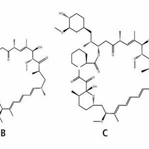 Abb. 1: Struktur der Immunsuppressiva Cyclosporin-A (A), Everolimus (B), Sirolimus (C), Tacrolimus (D)
