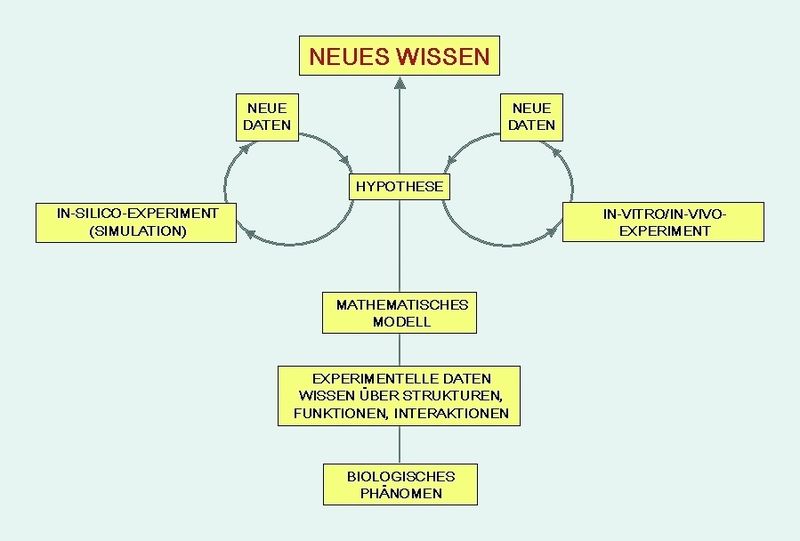Abb. 2 Ein Systemansatz basiert immer auf einem iterativen Prozess. (Quelle für Abb.: BMBF Publik. Systembiologie) (Archiv: Vogel Business Media)