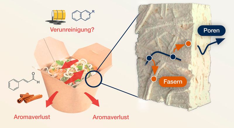 Papierverpackungen sollen Verunreinigungen verhindern und vor Aromaverlust schützen.(Bild:  Institut für Festkörperphysik - TU Graz)