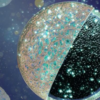 Natrium-Ionen-Batterien eignen sich als Alternative zu Lithium-Ionen-Batterien, doch hohe Speicherverluste beim ersten Ladezyklus hemmen deren Entwicklung. Die BAM hat hierfür ein neues Kern-Schale-Design für Anoden entwickelt. (Bild: BAM)