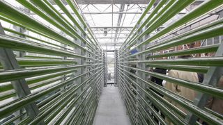 Die Testanlage der Jacobs University zur Reduktion von CO2 in Industrieabgasen durch Meeresalgen wird erstmals im industriellen Maßstab im RWE-Kohlekraftwerk in Niederaußem erprobt.  (Bild: Jacobs University)