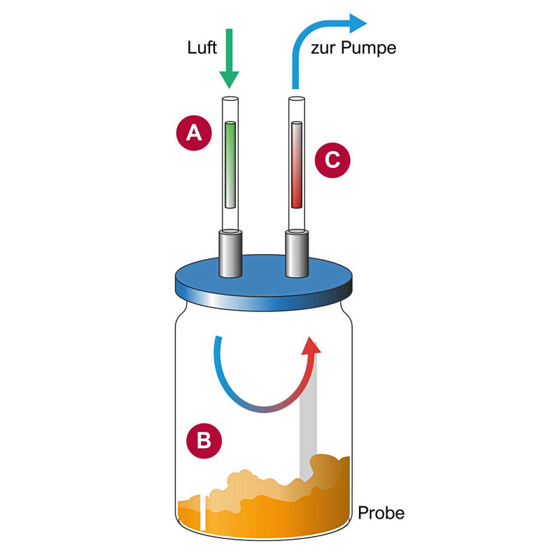 Abb.2: Prozess der Probenahme: Mithilfe einer Pumpe, die einen konstanten Fluss erzeugt, wird Umgebungsluft durch ein mit Tenax TA gefülltes Glasröhrchen (A) in das Probengefäß gezogen. Mit dem Luftstrom werden die Analyten aus dem Dampfraum über der Probe (B) auf ein weiteres mit Tenax TA gefülltes Glasröhrchen geführt und dort für die spätere Analyse angereichert (C).