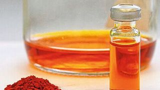 Für die Herstellung des Carotinoids Fucoxanthin mit der Kieselalge Phaeodactylum tricornutum rechnet sich die Algenkultivierung mit künstlicher LED-Beleuchtung. (Source: Fraunhofer IGB)