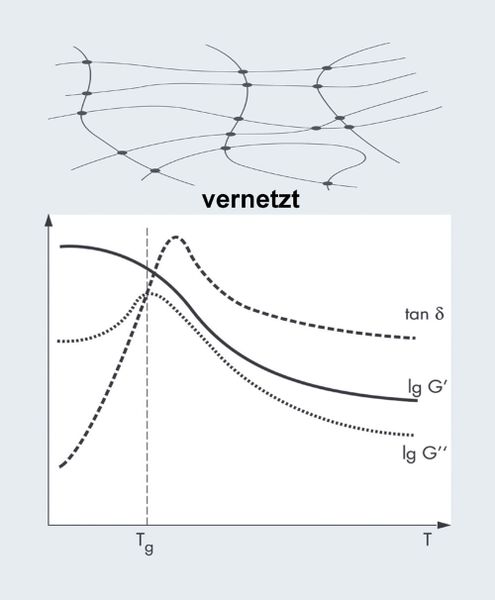 Abb.4a+b+c: Temperaturverläufe des Speicher- (G’) und Verlustmoduls (G’’) eines typischen amorphen (a), teilkristallinen (b) und vernetzten  Polymers (c). Der Verlustfaktor tan() beschreibt das Verhältnis von elastischem zu viskosem Verhalten tan(d) = G’’/G’. (Archiv: Vogel Business Media)