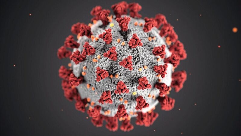Das SARS-CoV-2-Virus könnte in Zukunft vielleicht über einen neuen optischen Biosensor nachgewiesen werden (Symbolbild).