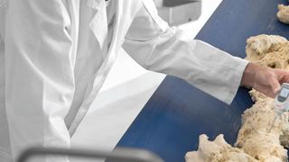 Zeit ist bei der Teigproduktion ein kritischer Faktor. Fernwartungssystem helfen deshalb Störungen und Stillstände der Anlagen zu vermeiden. (Wachendorff/Zeppelin Systems)