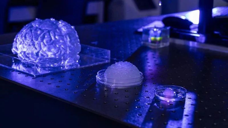 Forscher der University of Missouri haben neue Methoden entwickelt, um die komplexe Beschaffenheit menschlichen Hirngewebes besser zu simulieren.(Bild:  University of Missouri)