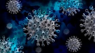 Lübecker Forscher haben eine weitere Studie zur Dauer der Immunität nach einer Covid-19-Infektion abgeschlossen. (Symbolbild) (Bild: gemeinfrei)