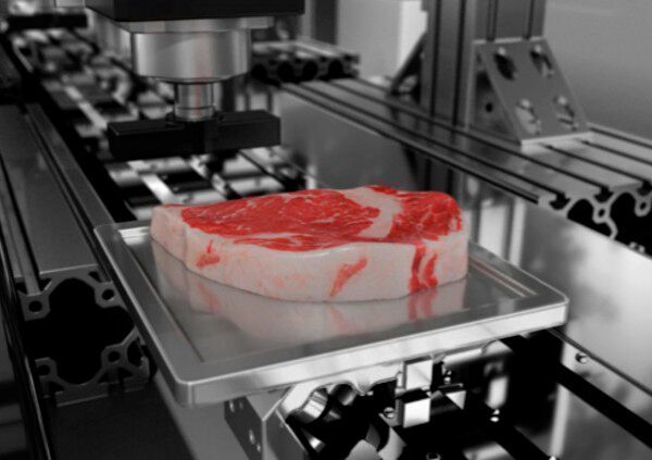 MeaTech3D aus Israel gewann mit seiner Technologie für 3D-gedrucktes Fleisch in der Kategorie Technology & Process (MeaTech3D)