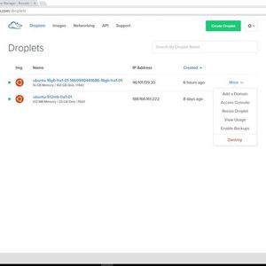 Für den SDN Controller und die aufsetzende App haben wir eine Ubuntu-Instanz mit 16 GByte RAM eingerichtet. Das kleinere Droplet diente uns als Zwischenspeicher und Mininet-Plattform.