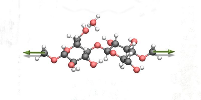 Die Molekülstruktur der Cellulose, auf die Nanowissenschaftler mechanische Kraft ausübten (grüne Pfeile). Dadurch veränderte sich die Hydrolyse-Reaktion stark. (Saeed Amirjalayer et al./Angew Chem)